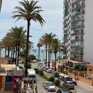 Palmeras Benalmadena